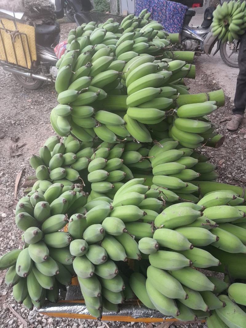 香蕉