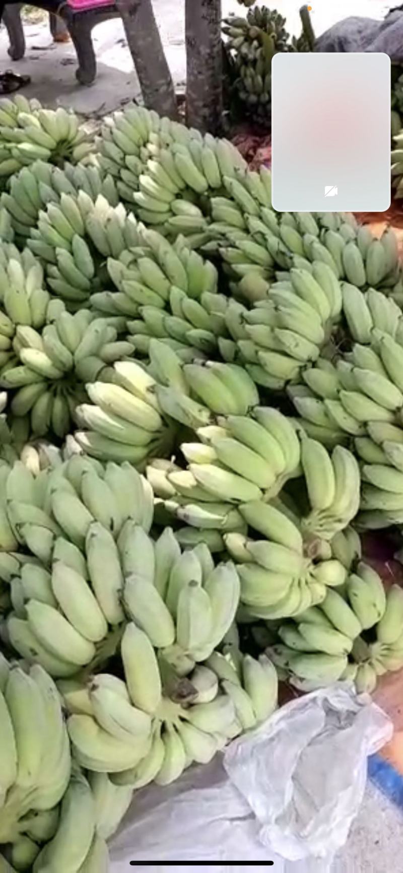 香蕉