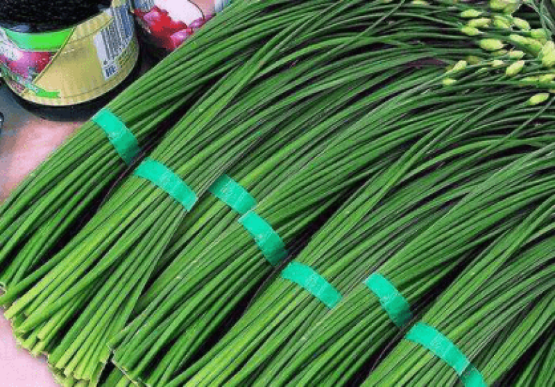 东台市优质韭苔新鲜上市，量大价格可谈，欢迎致电