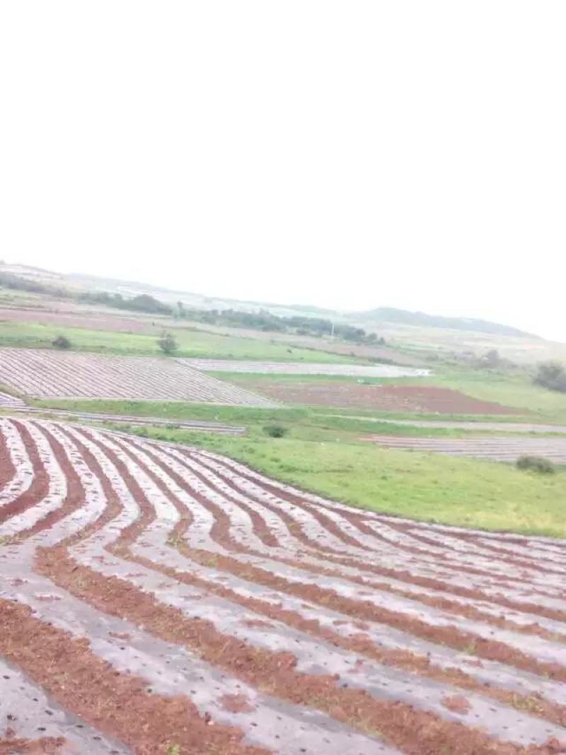 山地