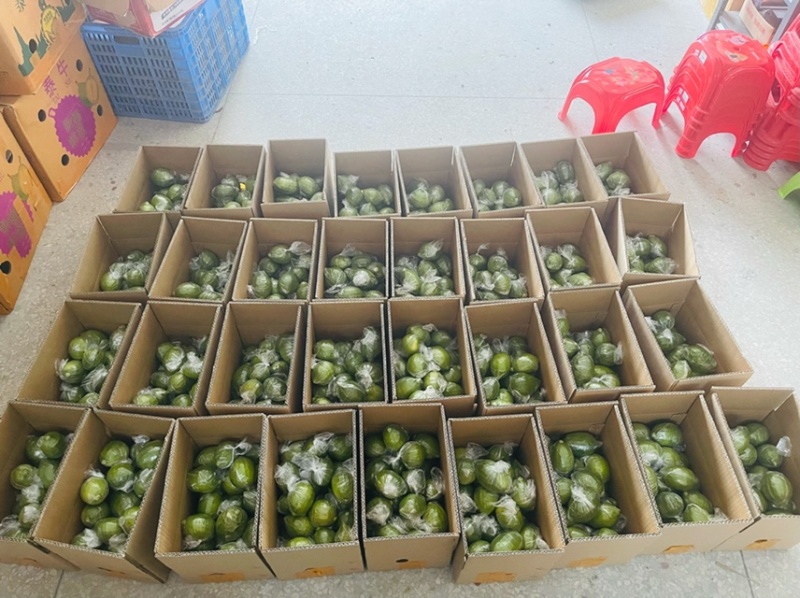 广东香水柠檬