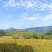 遵义市绥阳县2600亩综合农场，可出租合作