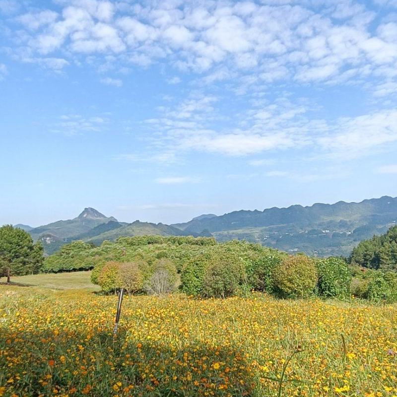 遵义市绥阳县2600亩综合农场，可出租合作