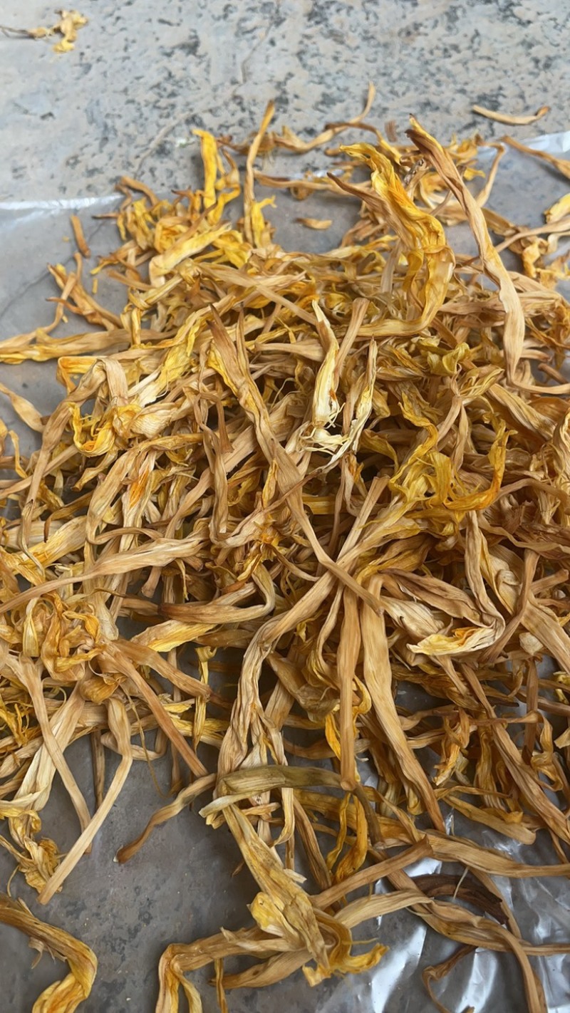 【黄花菜】大荔黄花菜大量供应适合餐饮欢迎下单