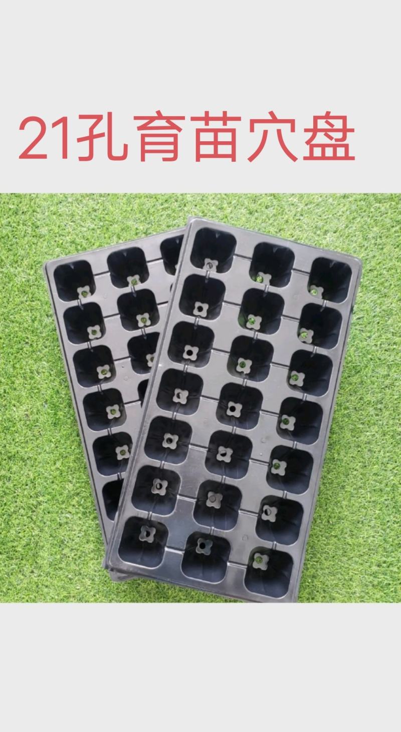 育苗穴盘加厚穴盘育苗育秧厂家一手货源批发规格齐全