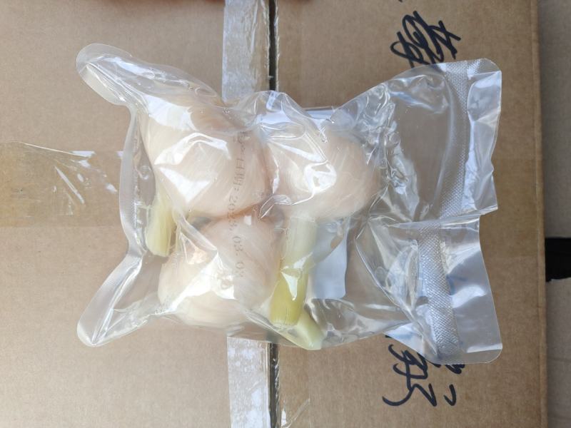 山东糖蒜厂家批发脆甜糖蒜金乡直发大个头