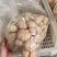 山东糖蒜厂家批发脆甜糖蒜金乡直发大个头