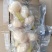 山东糖蒜厂家批发脆甜糖蒜金乡直发大个头