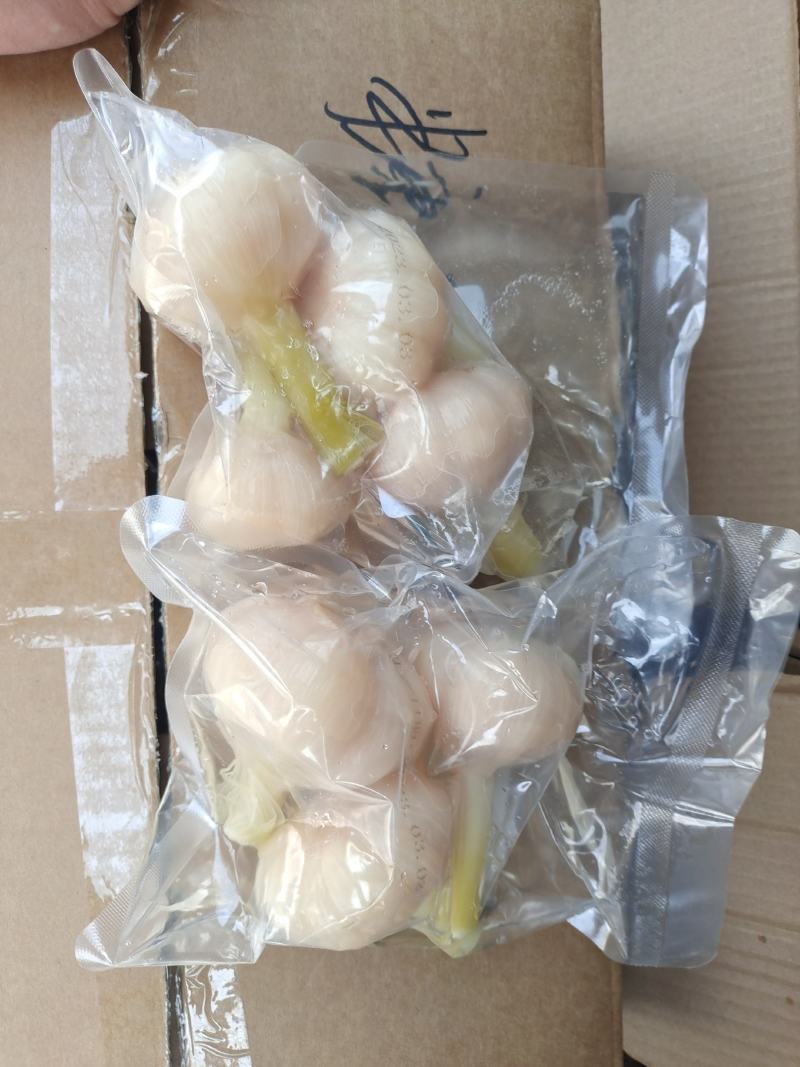 山东糖蒜厂家批发脆甜糖蒜金乡直发大个头