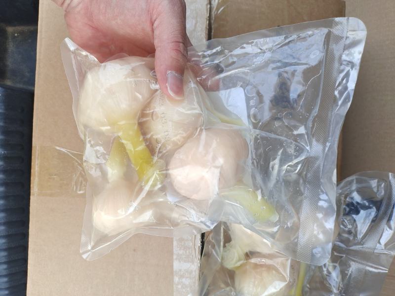 山东糖蒜厂家批发脆甜糖蒜金乡直发大个头