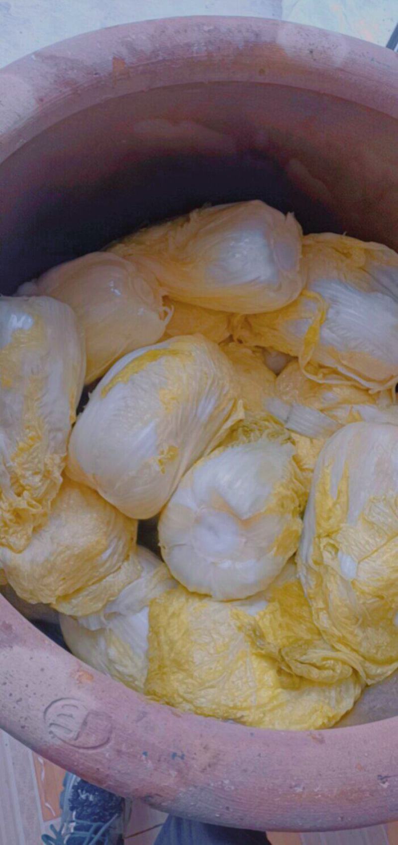 东，北，黄，心，酸，菜，六，十，天，发，酵