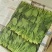 『牛商推荐』潍坊菠菜规格齐全，量大从优欢迎咨询！