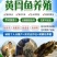 黄骨鱼苗