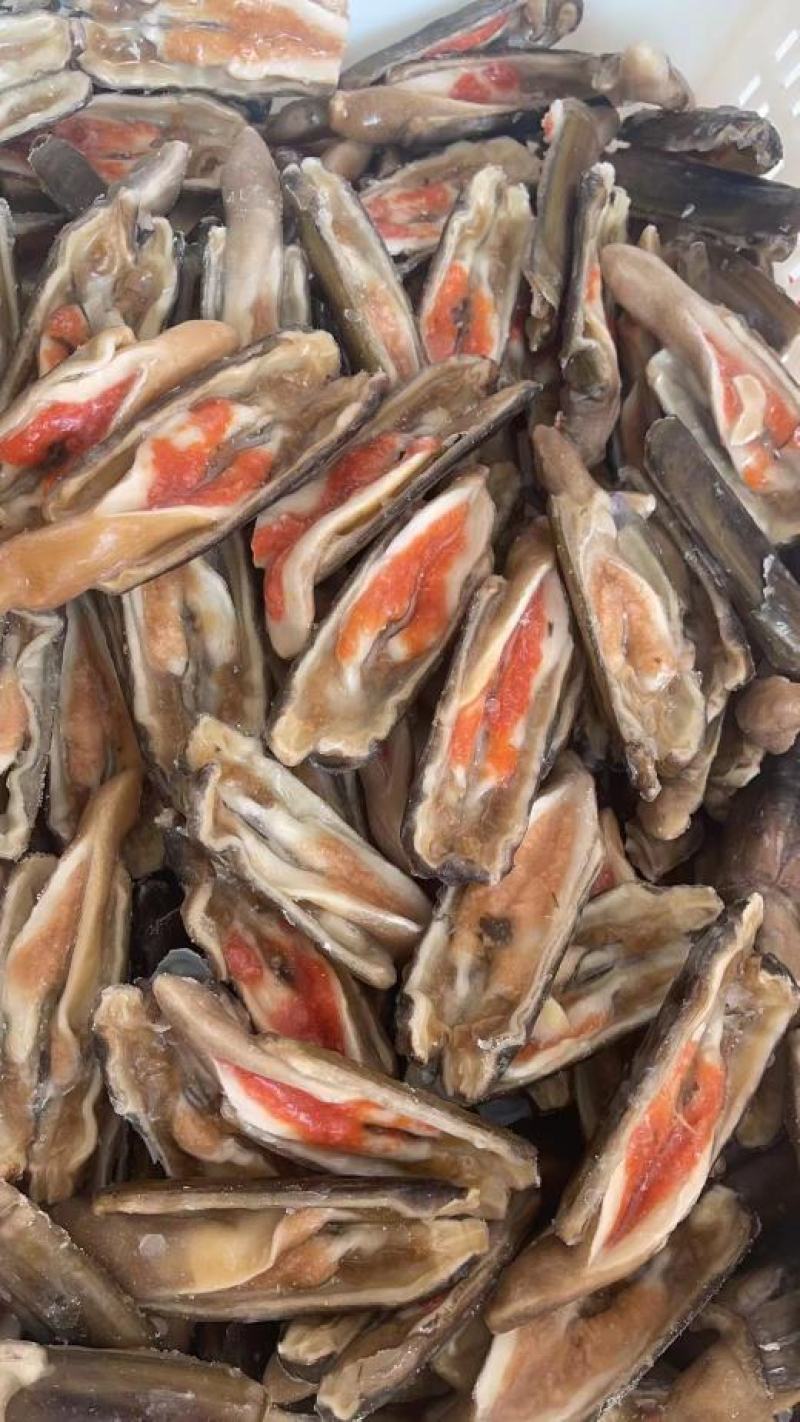 开口蛏子，带壳的蛏子，无沙，个个肥。常年有货。欢迎咨询