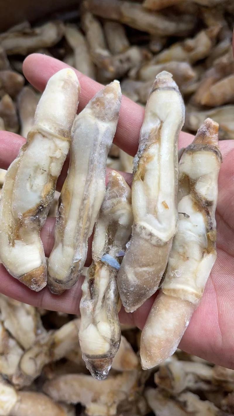 蛏子肉，蛏子王，无沙，开嘴，一斤25个，20个冰，可微冰