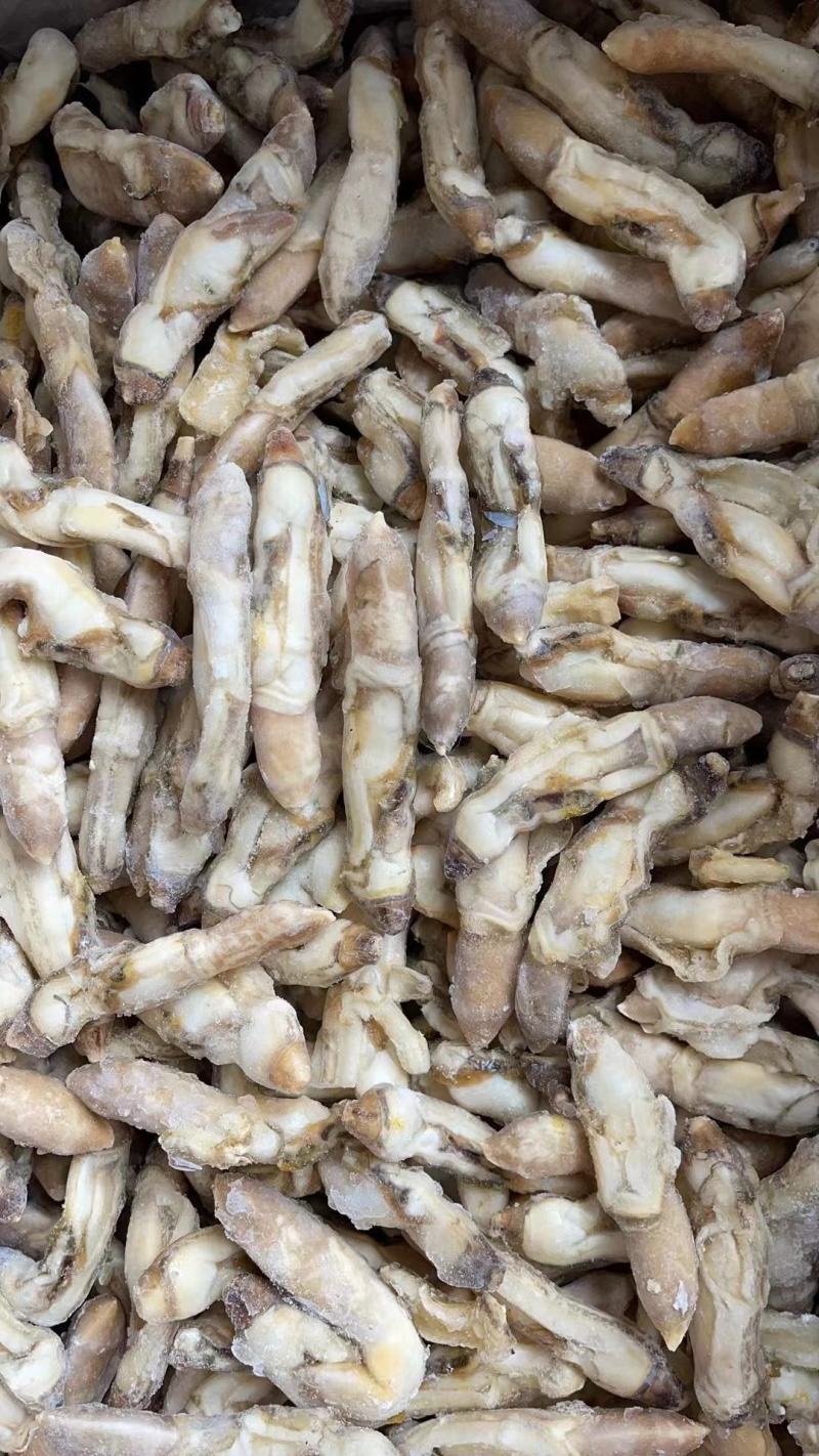 蛏子肉，蛏子王，无沙，开嘴，一斤25个，20个冰，可微冰