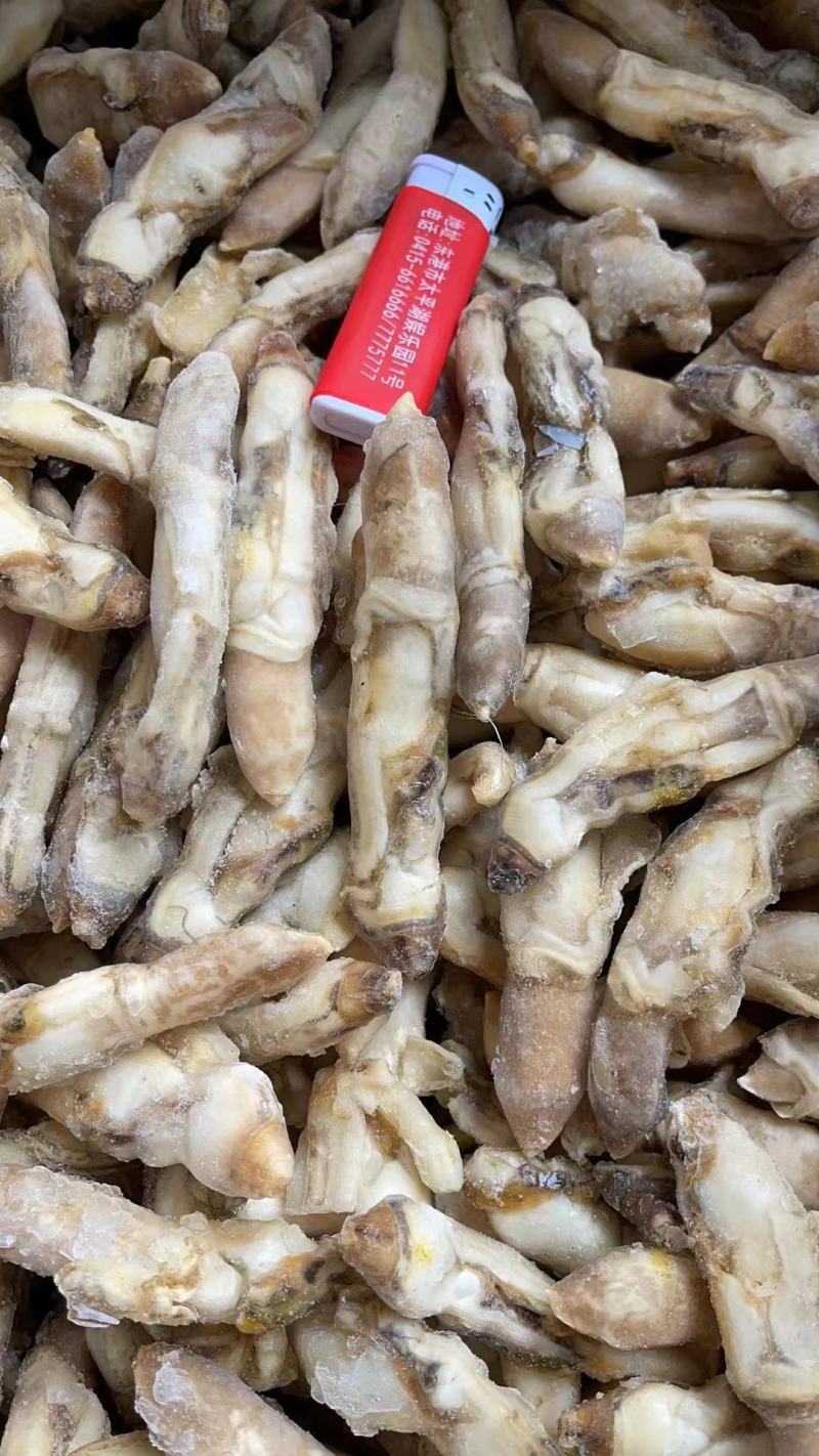 蛏子肉，蛏子王，无沙，开嘴，一斤25个，20个冰，可微冰