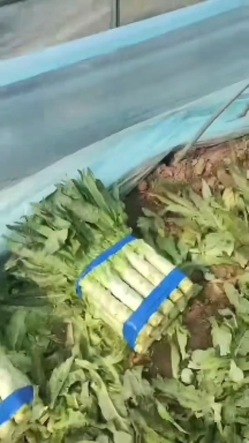精品莴苣大量供应，各种包装都有，价格便宜，需要的联系