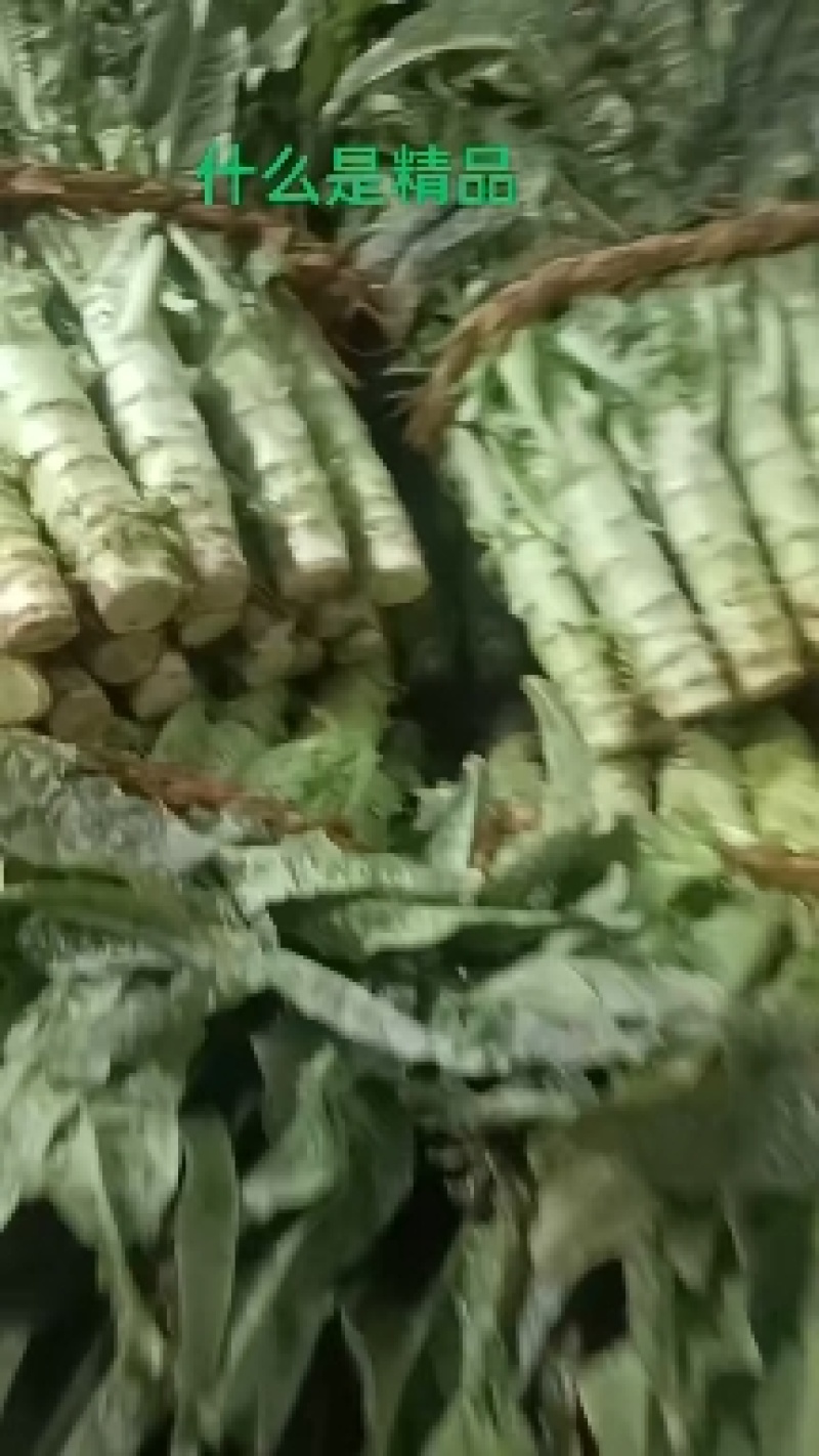 精品莴苣大量供应，各种包装都有，价格便宜，需要的联系