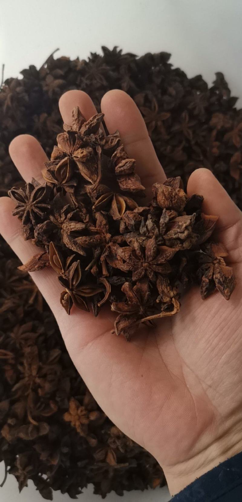 广西新大红八角无硫全干精品产地直发量大优惠
