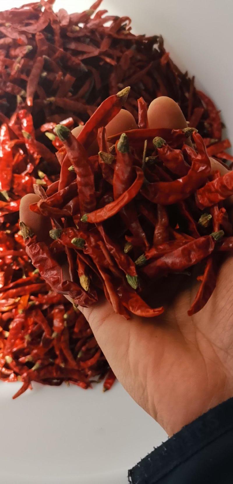 印度干辣椒，精品干辣椒货好干度足，产地直发