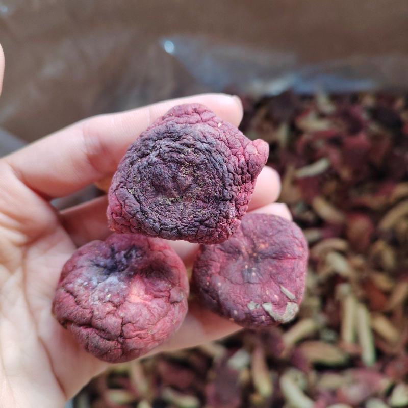 红菇特产红菇菌产地直发