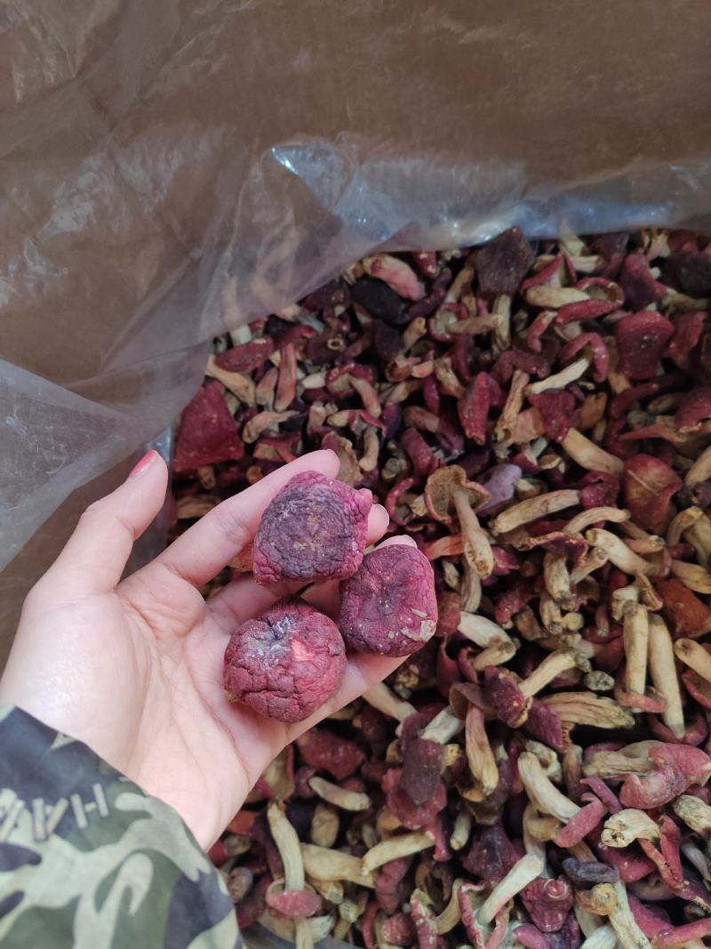 红菇特产红菇菌产地直发