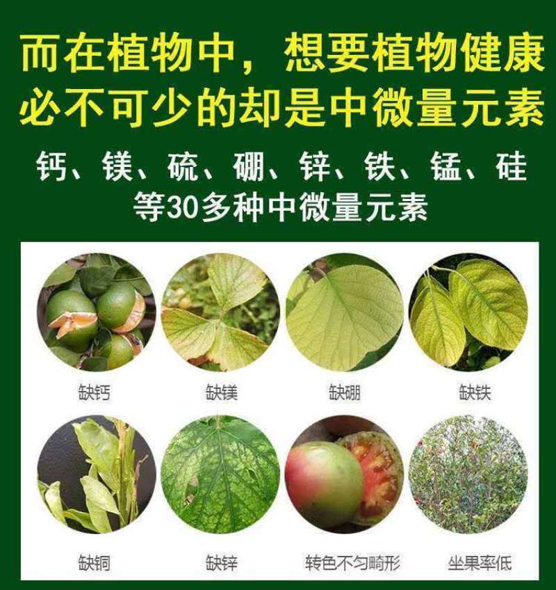 中微量元素水溶肥冲施肥钙镁硼锌铁生根壮苗叶片浓绿
