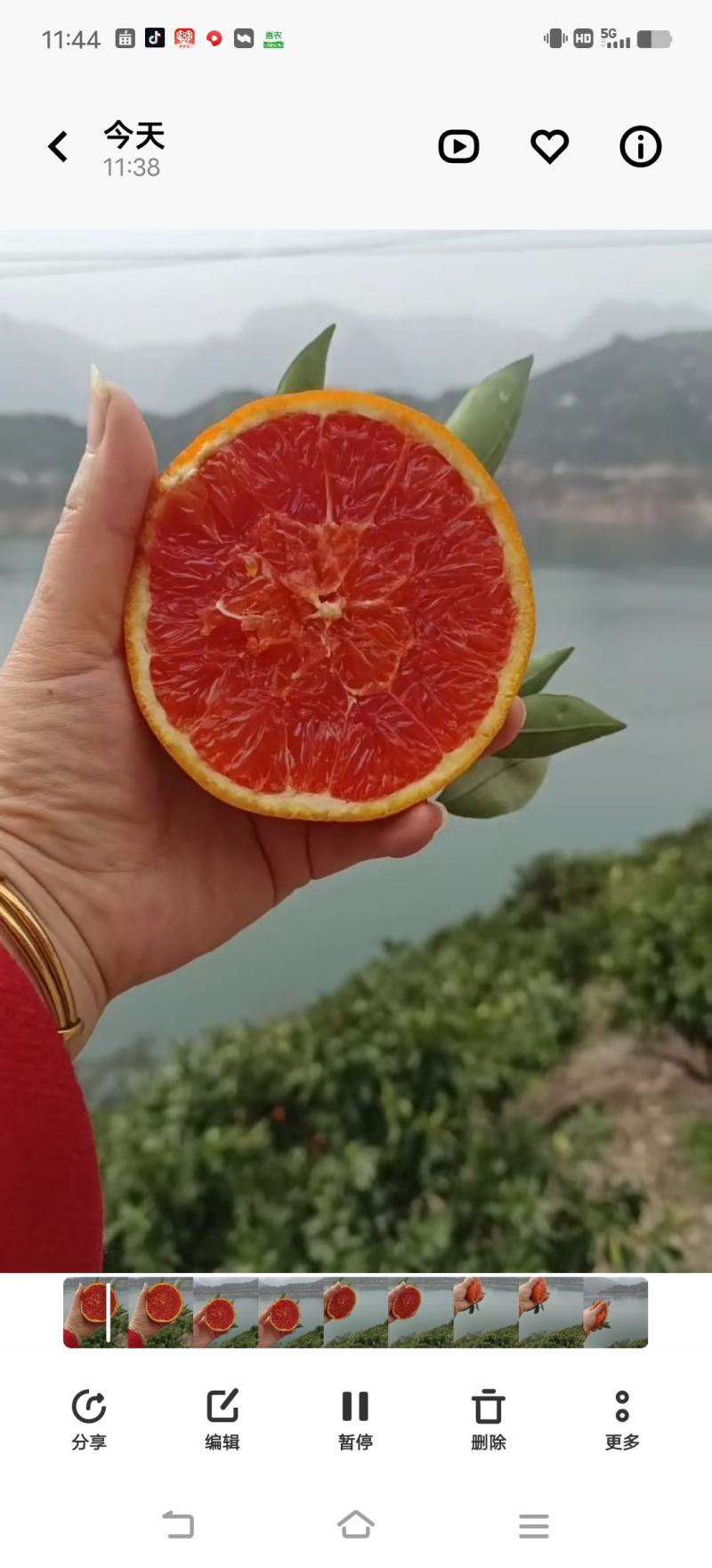中华红血橙超甜化渣果肉细腻一手货源对接电商各种平台为主