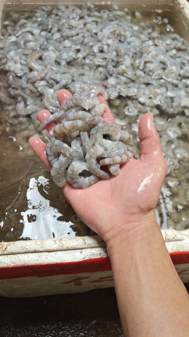 广西原浆虾仁量大质优价格优惠欢迎电话洽谈