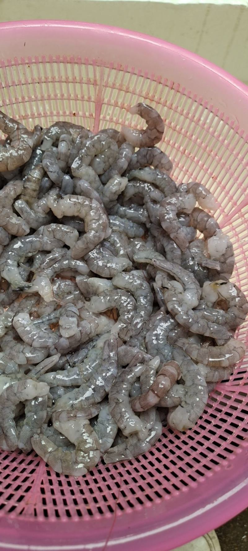 广西原浆虾仁量大质优价格优惠欢迎电话洽谈