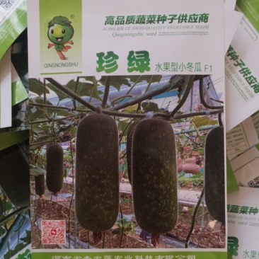 【精选】珍绿水果型小冬瓜种子抗病抗虫性强品质好产量高