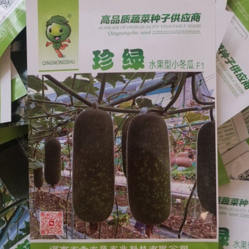 【精选】珍绿水果型小冬瓜种子抗病抗虫性强品质好产量高