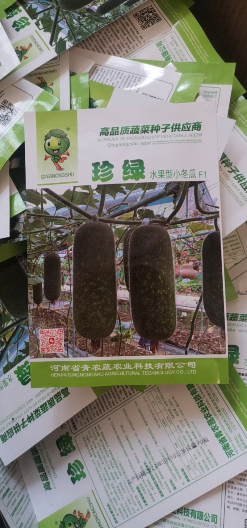 【精选】珍绿水果型小冬瓜种子抗病抗虫性强品质好产量高