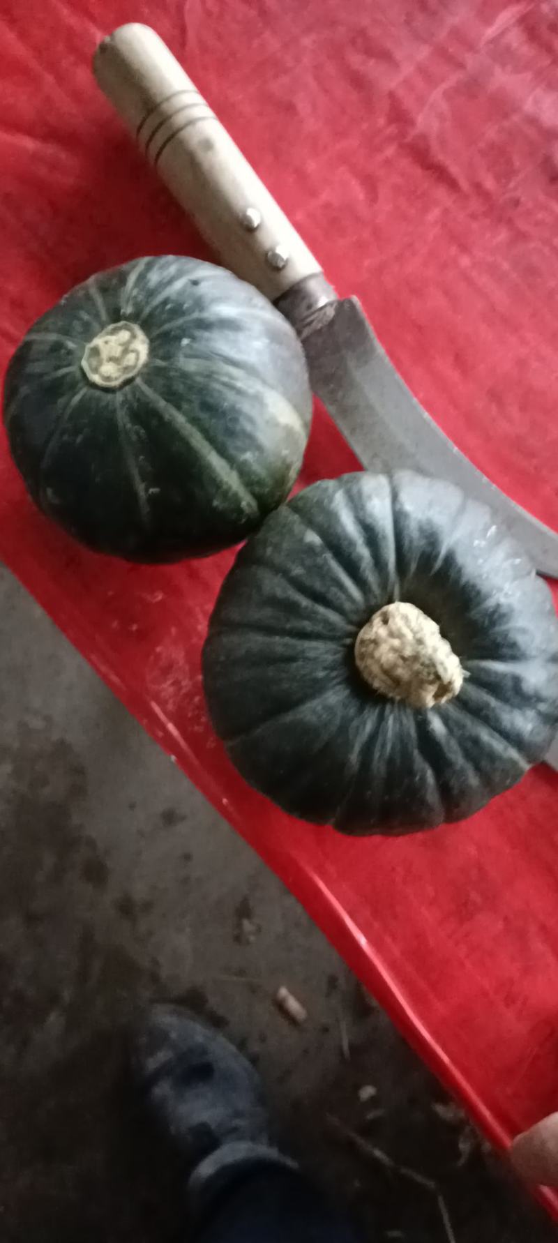 板栗南瓜，精品板栗南瓜大量现货，还有各种蔬菜可以配车，