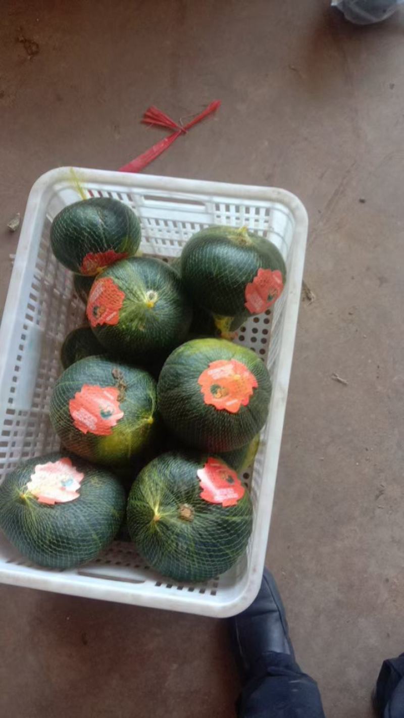 板栗南瓜，精品板栗南瓜大量现货，还有各种蔬菜可以配车，
