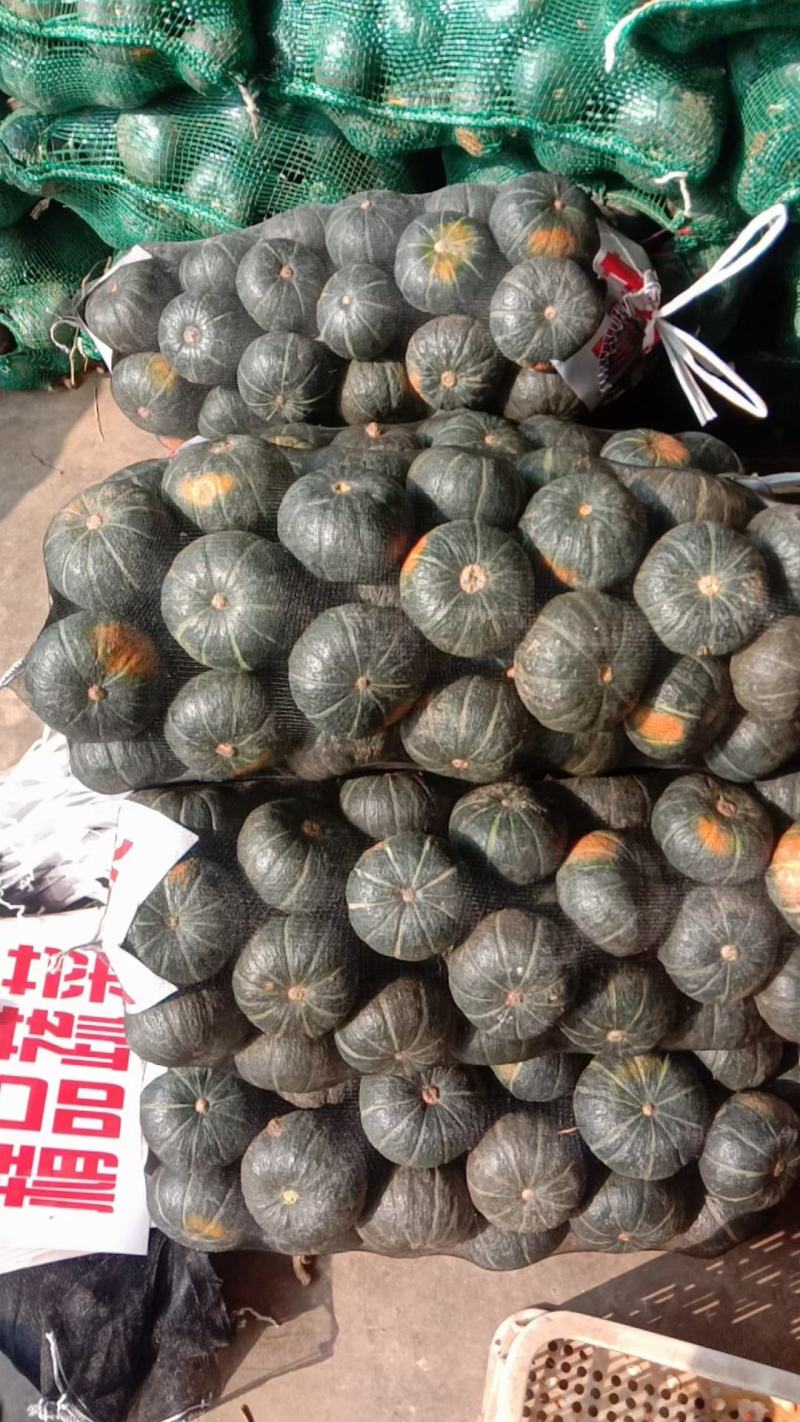 板栗南瓜，精品板栗南瓜大量现货，还有各种蔬菜可以配车，