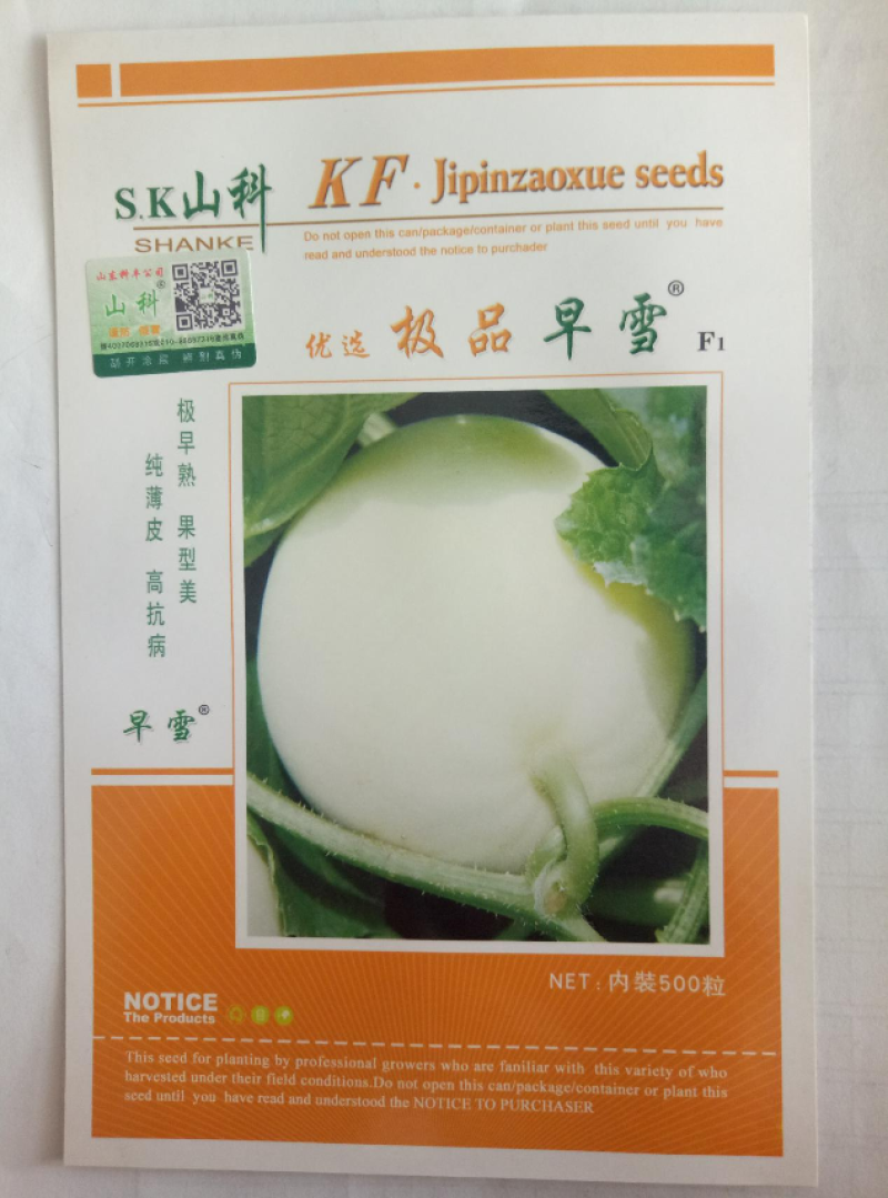 优质甜瓜种子博洋翠宝羊角蜜高产抗病口感好