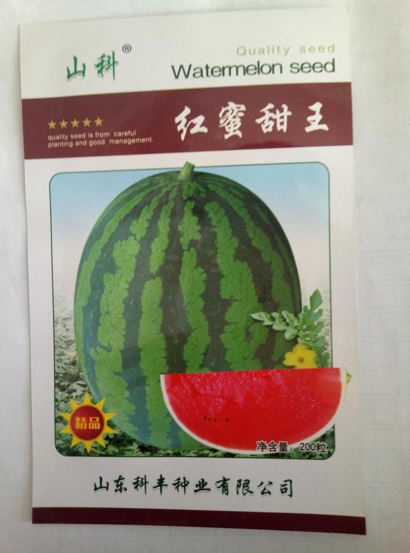 优质西瓜种子甜王美都无籽西瓜产量高口感好