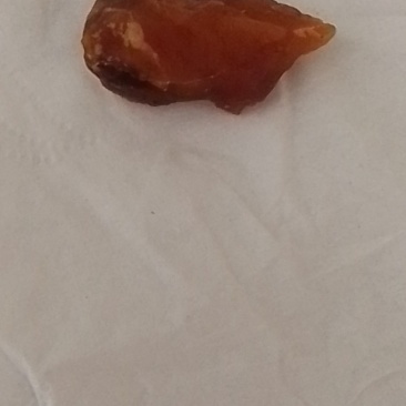 有鸡宝想卖