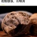 整箱40个】黑麦手撕面包早餐糕点全麦饱腹代餐整箱批发