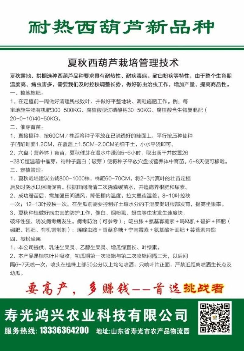 绿皮西葫芦种子挑战者耐高温抗病翠绿色瓜条顺直越夏秋延