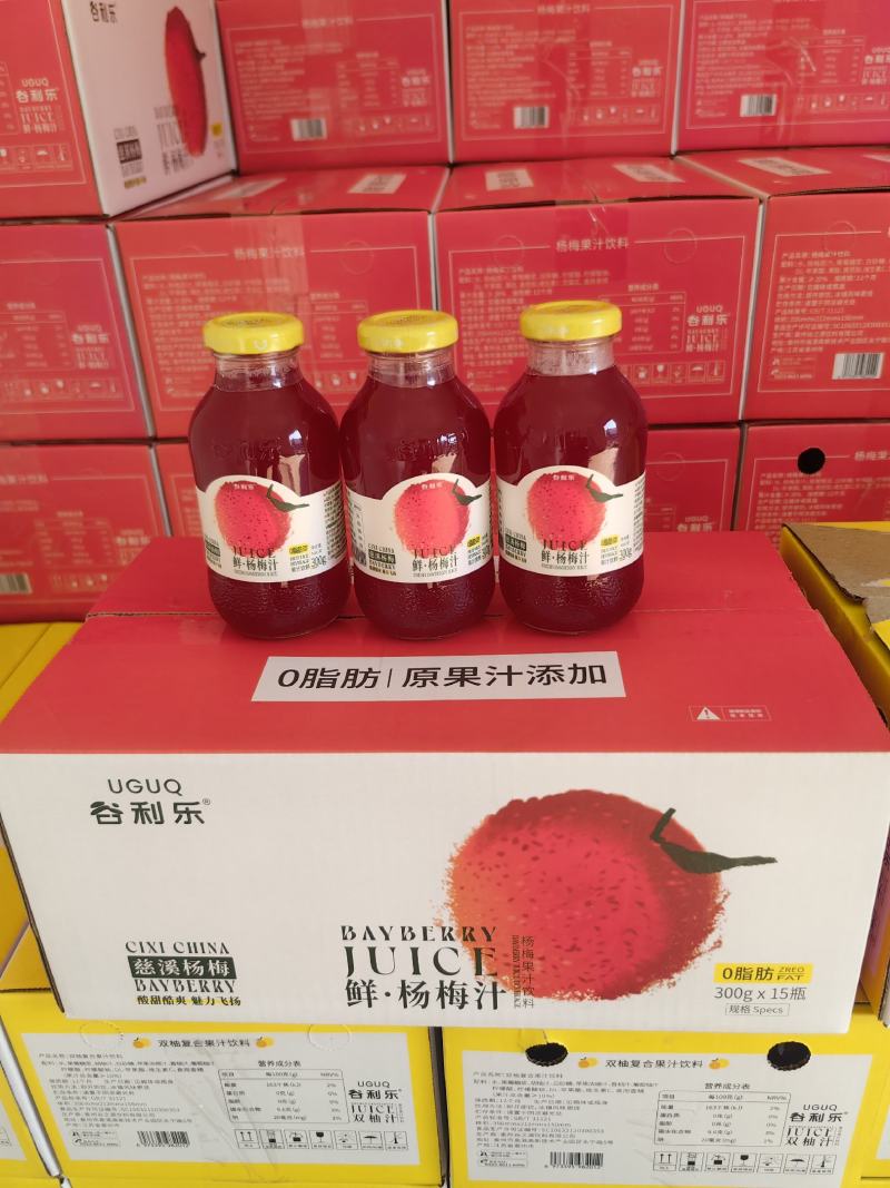 新品杏皮茶谷利乐品牌一箱15瓶玻璃瓶装品质保证
