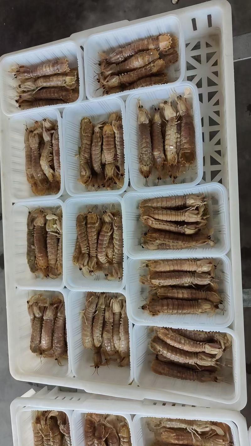 皮皮虾，虾爬子(活冻现发），肉质饱满，质量有保证
