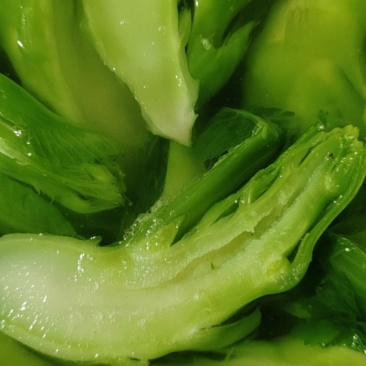 儿菜