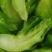 儿菜