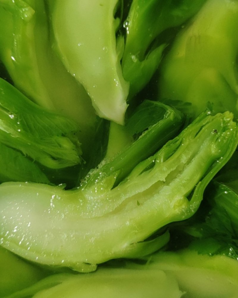 儿菜