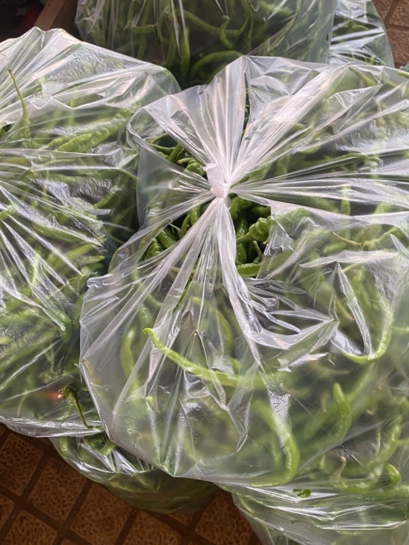 湛江鲜辣椒、螺线椒、线椒、货源充足、量大质优、