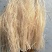 精品蒜苗红根蒜苗无土栽培产地直供一手货源电商供应