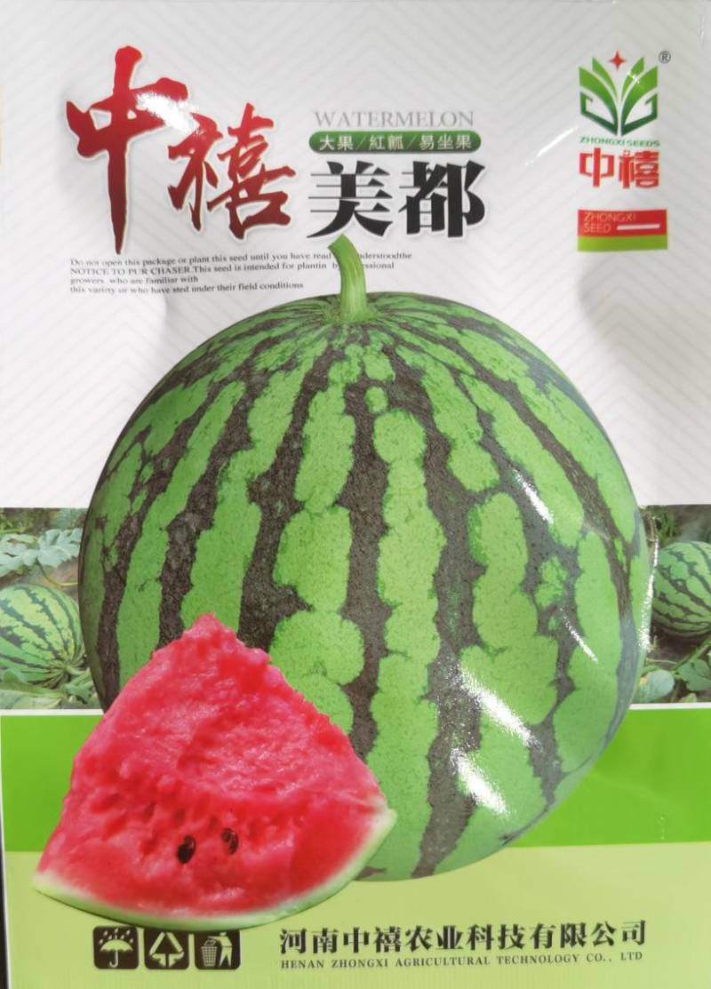 早熟西瓜种子中禧美都皮薄瓤红肉质酥脆多汁皮薄且韧耐运输抗